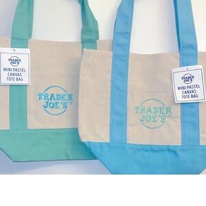 Trader Joe's Mini Pastel Canvas Tote Bag - Aqua and Teal